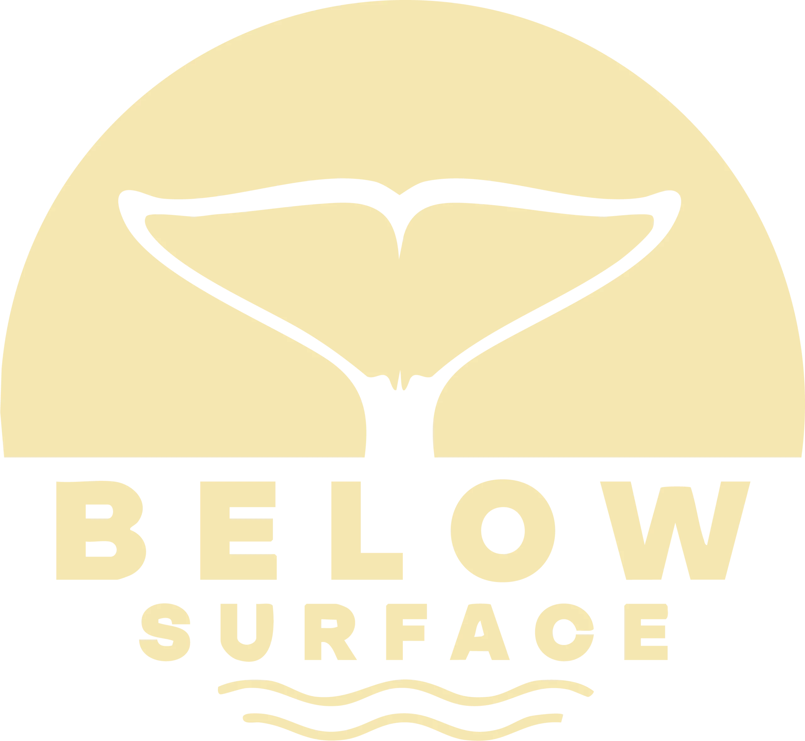 Baja Below Surface