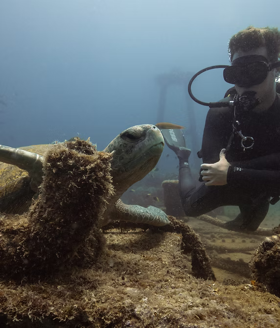 Scuba Diving Adventure